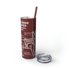 Skinny Tumbler with Straw, 20oz